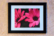 Load image into Gallery viewer, Pair
