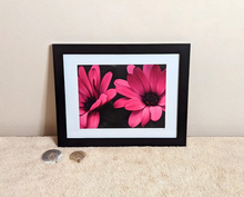 Load image into Gallery viewer, Pair
