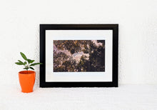 Load image into Gallery viewer, Even Almost Was Happy

