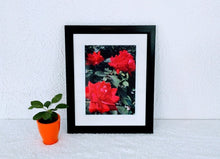 Load image into Gallery viewer, Boyfriend
