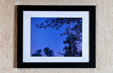 Load image into Gallery viewer, Reborn
