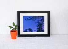 Load image into Gallery viewer, Reborn
