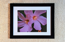 Load image into Gallery viewer, Self
