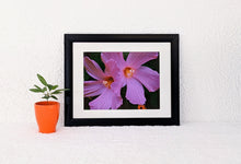 Load image into Gallery viewer, Self

