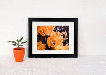 Load image into Gallery viewer, Smile
