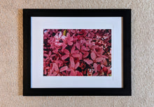 Load image into Gallery viewer, Pink Dreams
