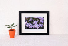 Load image into Gallery viewer, Resonance
