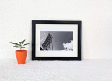 Load image into Gallery viewer, Garden
