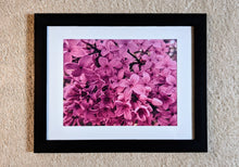 Load image into Gallery viewer, Kisses
