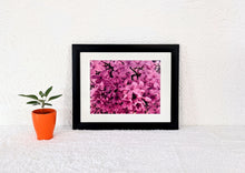 Load image into Gallery viewer, Kisses
