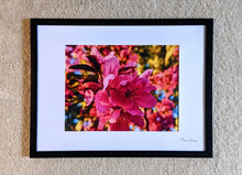 Load image into Gallery viewer, Good Times Here
