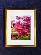 Load image into Gallery viewer, Candy
