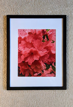 Load image into Gallery viewer, The Power To Heal
