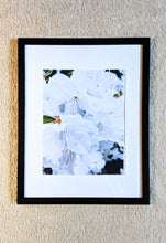 Load image into Gallery viewer, Angel Wings
