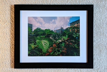 Load image into Gallery viewer, This Earth
