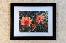 Load image into Gallery viewer, High All Summer
