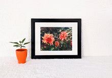 Load image into Gallery viewer, High All Summer
