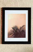 Load image into Gallery viewer, Guille's Palm
