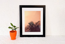 Load image into Gallery viewer, Guille's Palm
